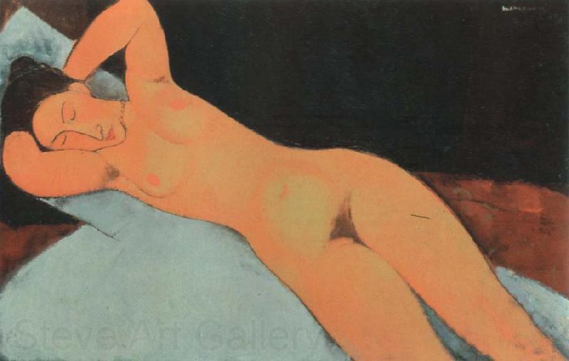 Amedeo Modigliani nude,1917 Norge oil painting art